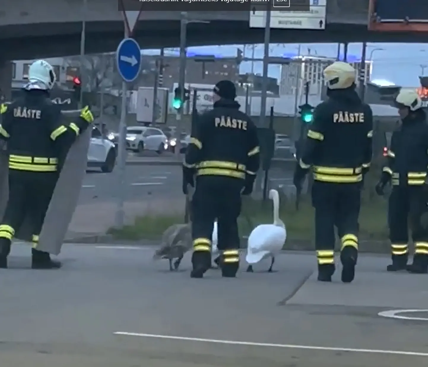 Kuvatõmmis