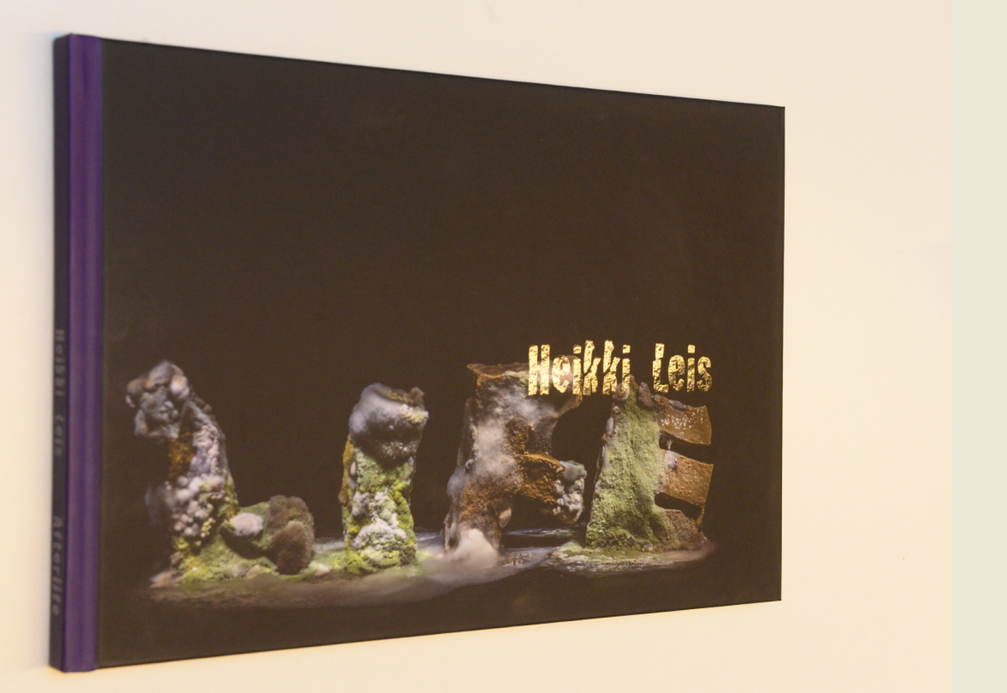 Heikki Leisi fotoraamatu «Afterlife» on Tartus tänavu üllitanud Silmapete.