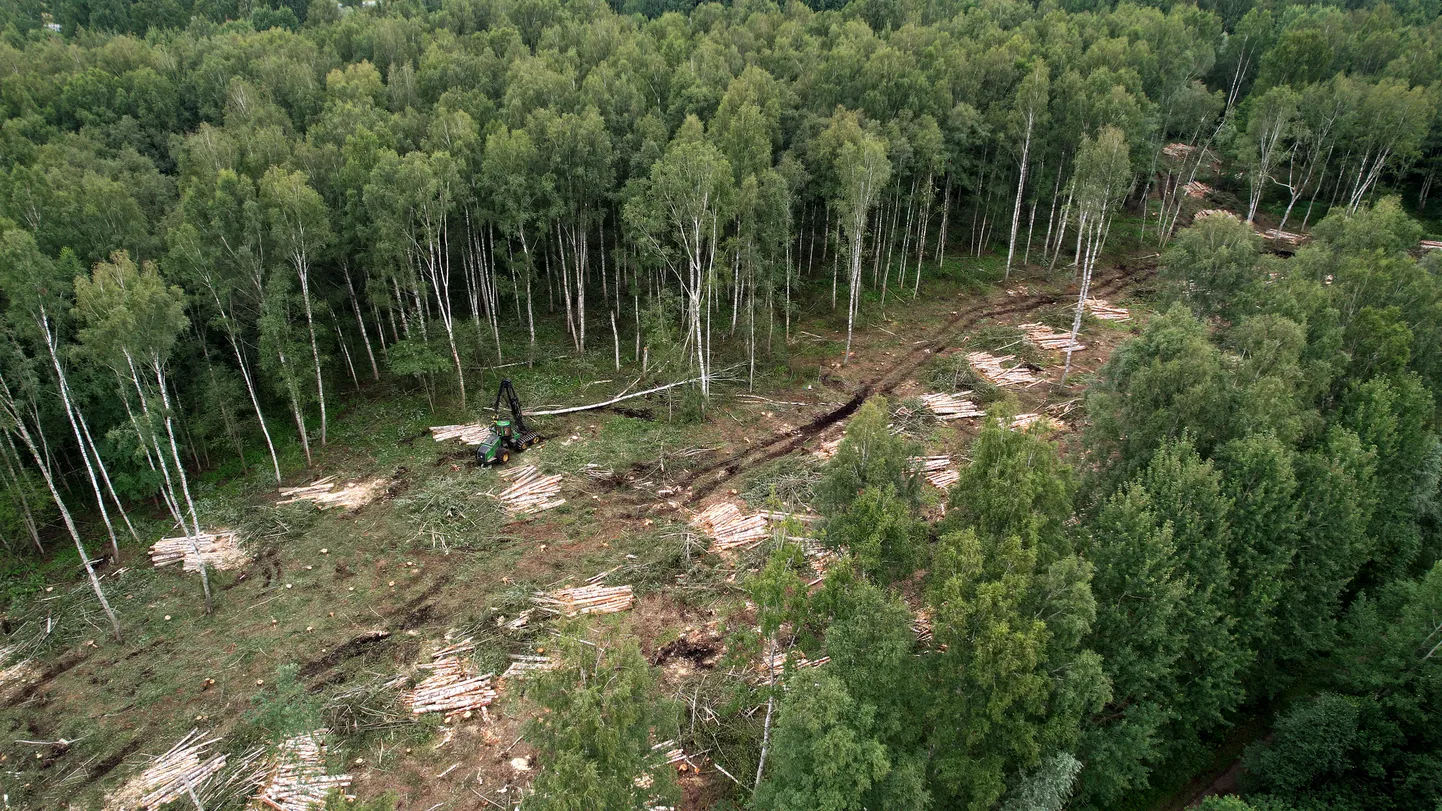 Kohus leidis, et keskkonnaamet jättis metsateatiste registreerimisel täielikult hindamata võimaliku negatiivse mõju Ida-Virumaal asuva Ontika loodusala kaitse-eesmärkidele.