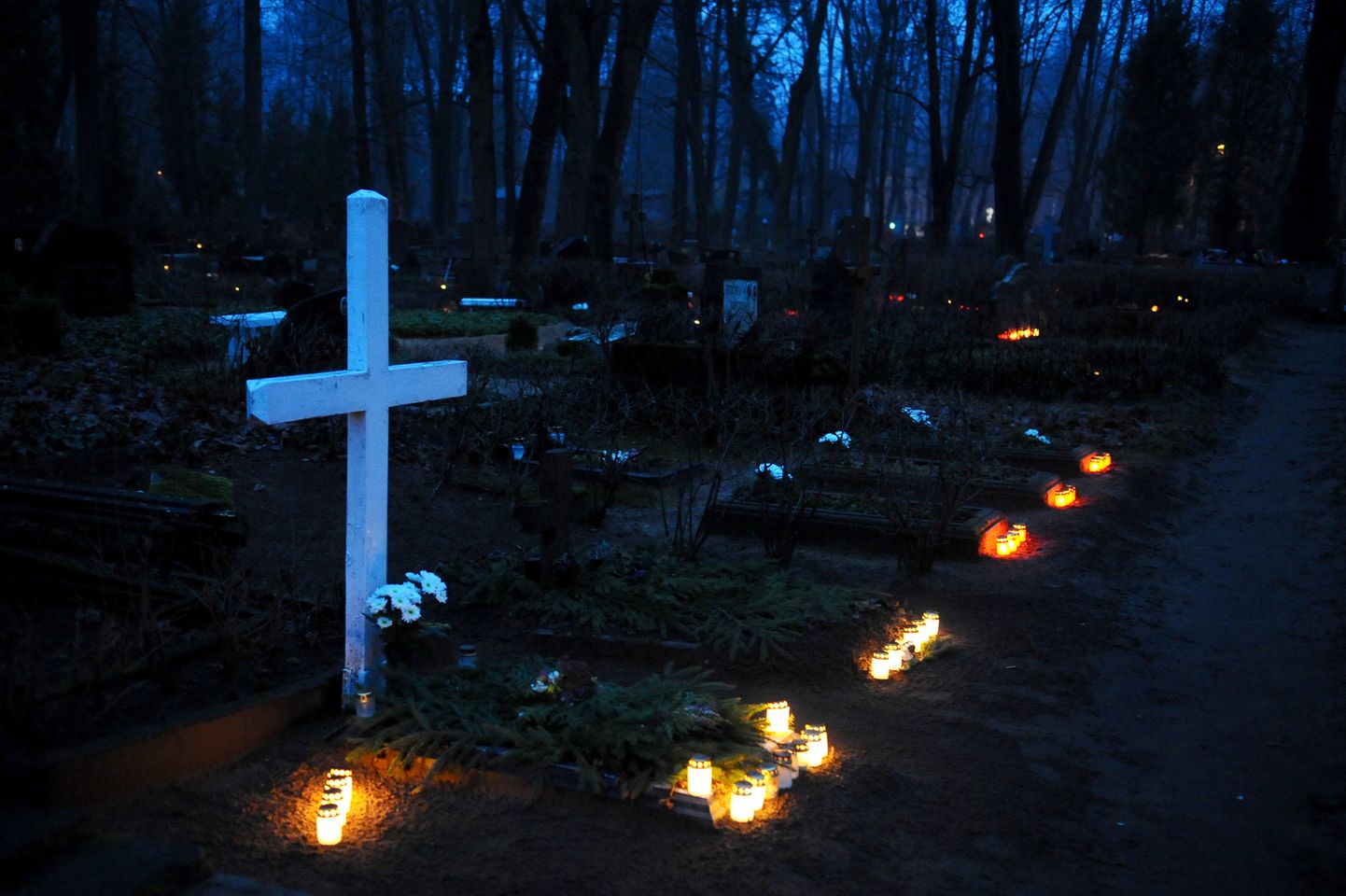 Cilvēku iedegtās sveces Miķeļa kapos Mirušo piemiņas dienā jeb Mūžības svētdienā.