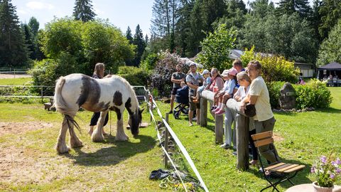 GALERII ⟩ Järvamaal avas külastajatele uksed 15 talu, huvi kohaliku toidu ja maaelu vastu püsib suur
