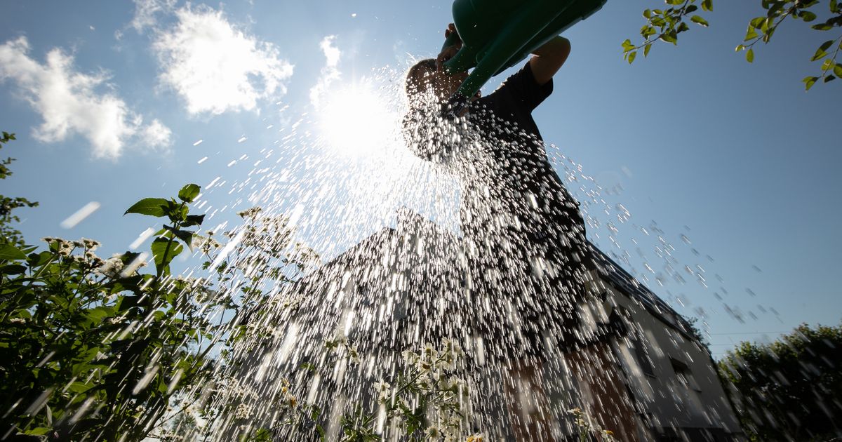 Laristamine lõpeb. Tartu kraanidest ei saa enam soodsat kastmisvett (1) Laristamine lõpeb. Tartu kraanidest ei saa enam soodsat kastmisvett (1)