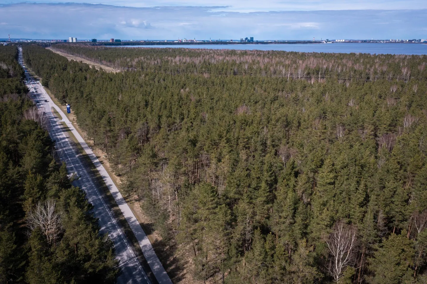Viljandi maantee ääres Raudalus asub linnale kuuluv metsaga kaetud kinnistu, kus üks arendaja tahab liivakarjääri avada.