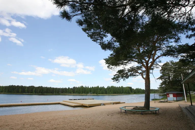 Verevi järv Elvas. FOTO: SILLE ANNUK/PM/SCANPIX BALTICS