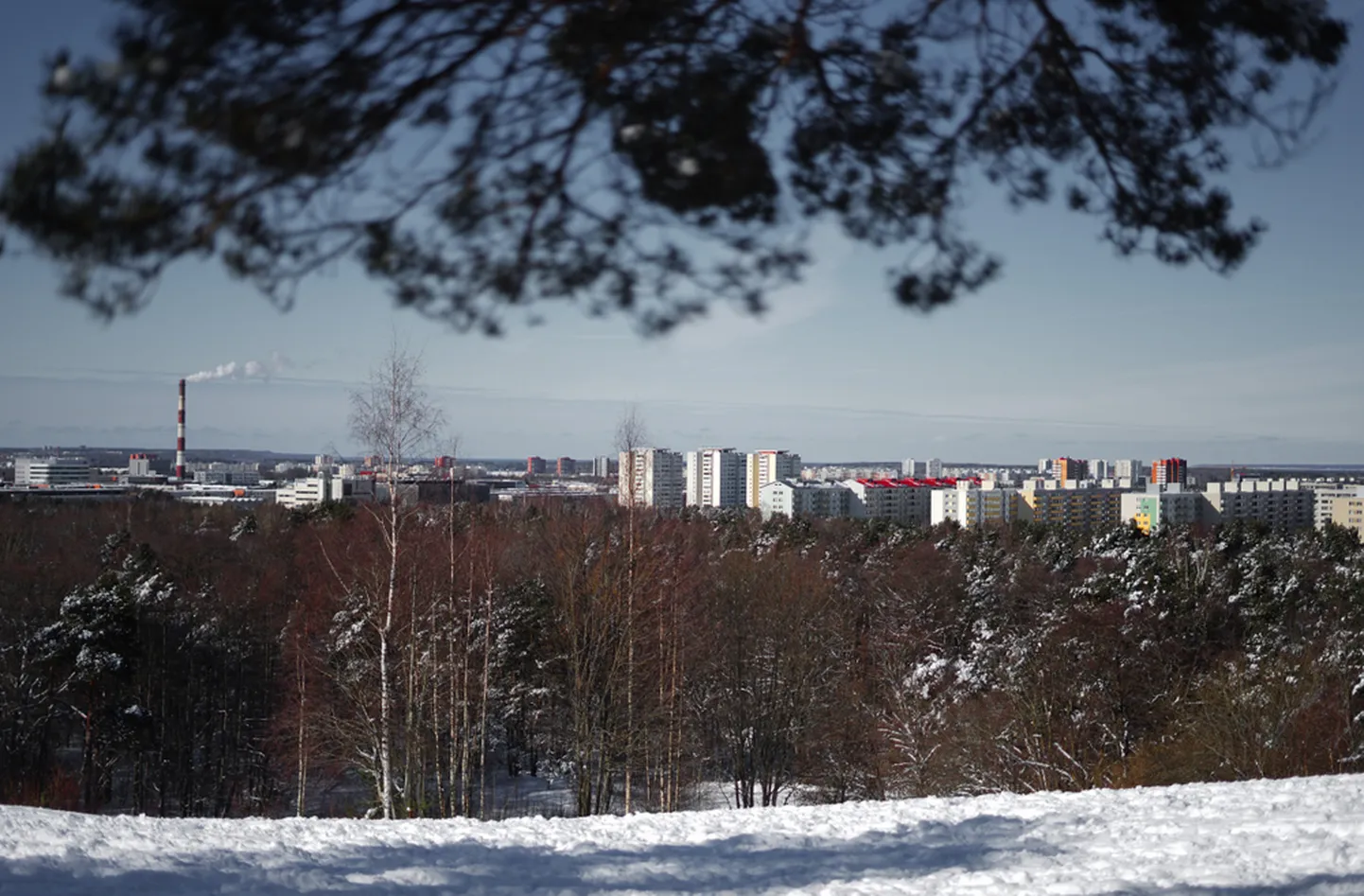 Kui investori eesmärk on säästmine ehk omakapitali väärtuse säilitamine, siis ei pruugi laenuraha leidmisega jändamine sugugi vajalik olla.