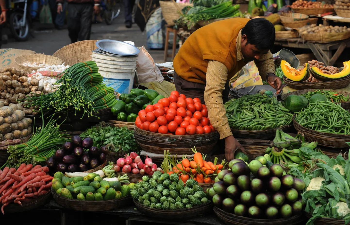 India majandus kasvab IMF´i hinnangul sellel aastal 8,4 protsenti.
