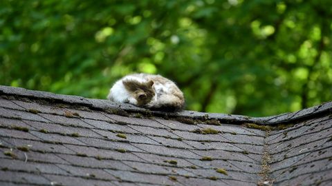 V Latviji v četrtek pričakovati do 27 stopinj Celzija