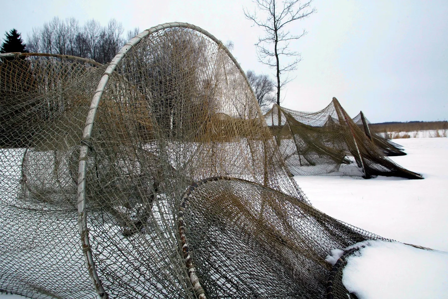 SAKALA01:KIVILÕPPE KÜLA: VILJANDI, EESTI, 30DEC04
KIVILÕPPE KÜLA.KALUR. PILDIL MÕRRAD
er/ Foto ELMO RIIG/ SAKALA