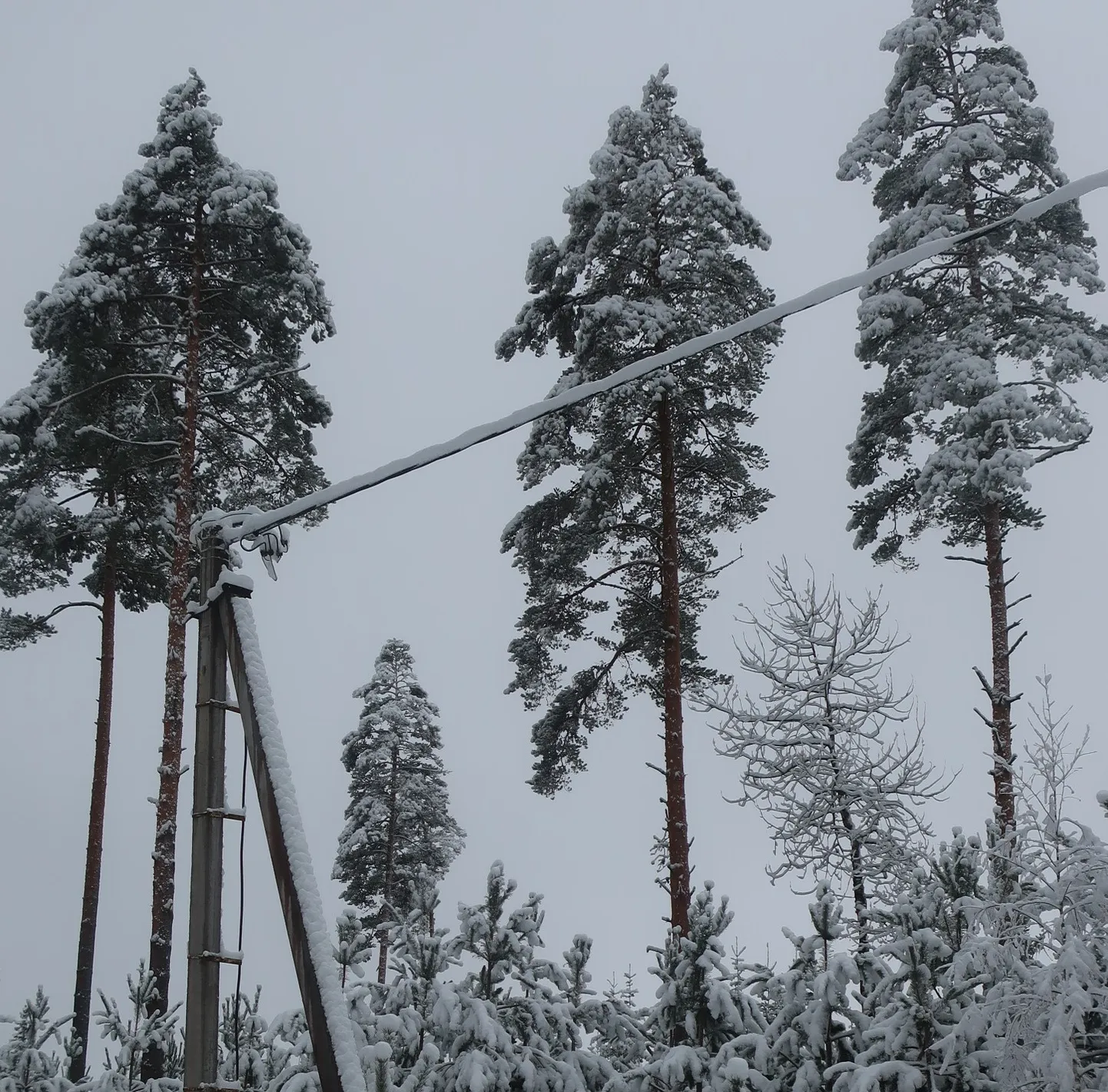 Kõige kallim on elekter hommikul kell 8–9.