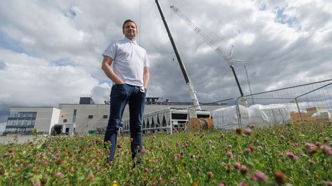 Ekspert kritiseerib riigi 20 miljoni euro suurust tehisaru-plaani: «See on ikkagi väga väike summa»