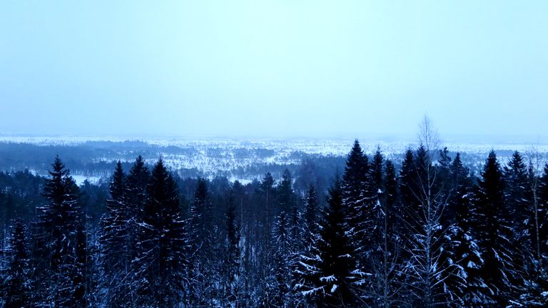 Talvised metsavaated ja vaikus on hingematvalt ilusad.