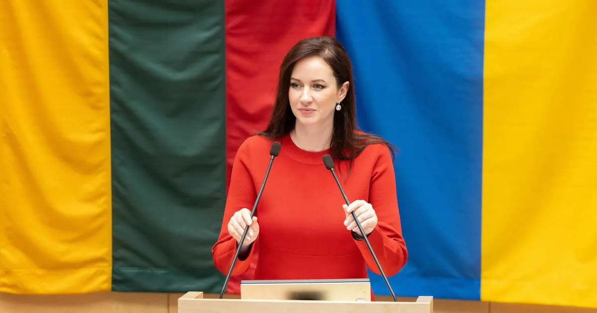 KOHALIK VAADE ⟩ Leedu valitsus seisab silmitsi rahvusvahelise skandaaliga