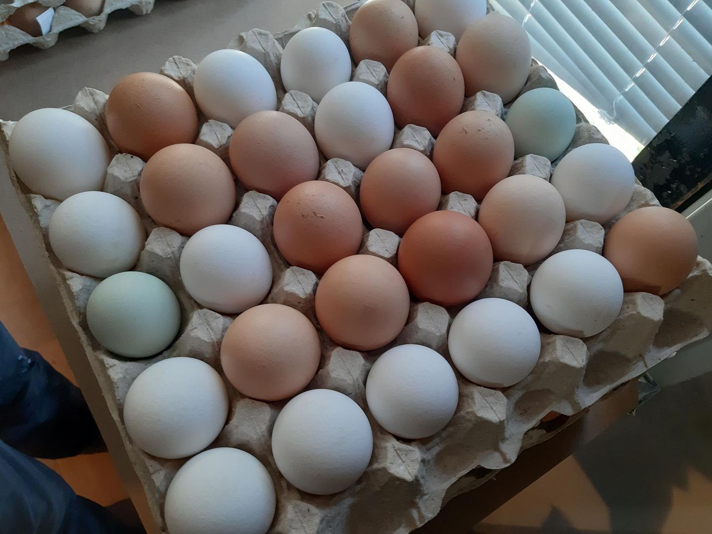 Nurmenuku talu perenaine seab pühade eel restile eri värvi mune.