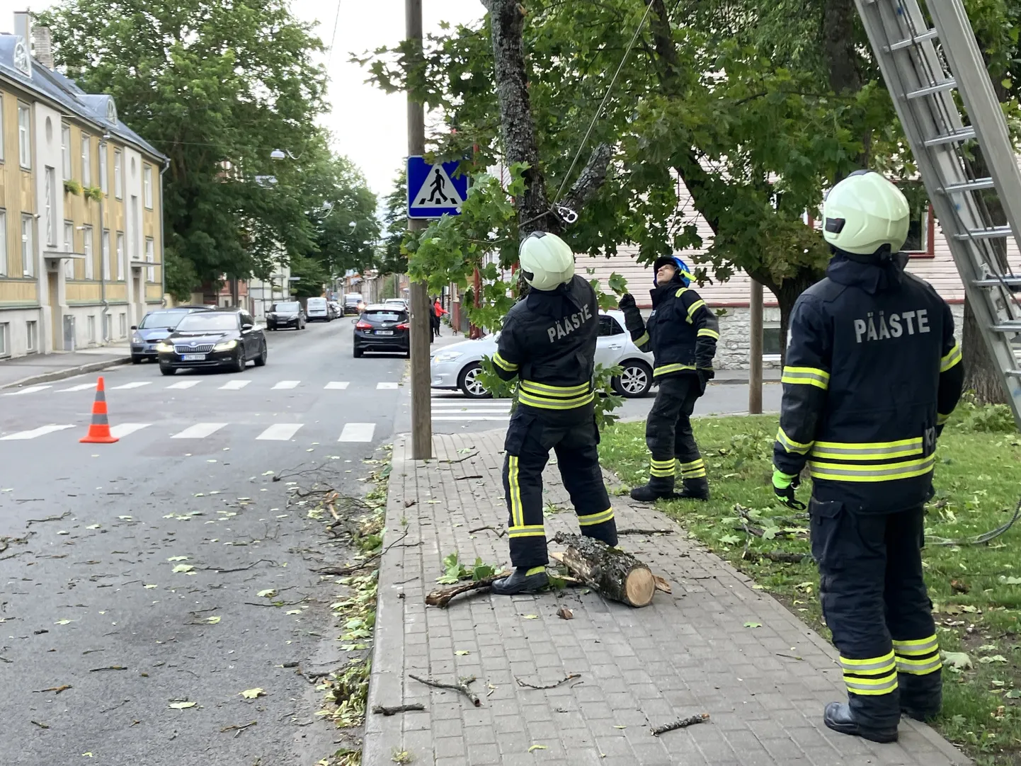 Rescuers liquidating storm damage in Kalamaja, Tallinn. A large branch had fallen on a power line.