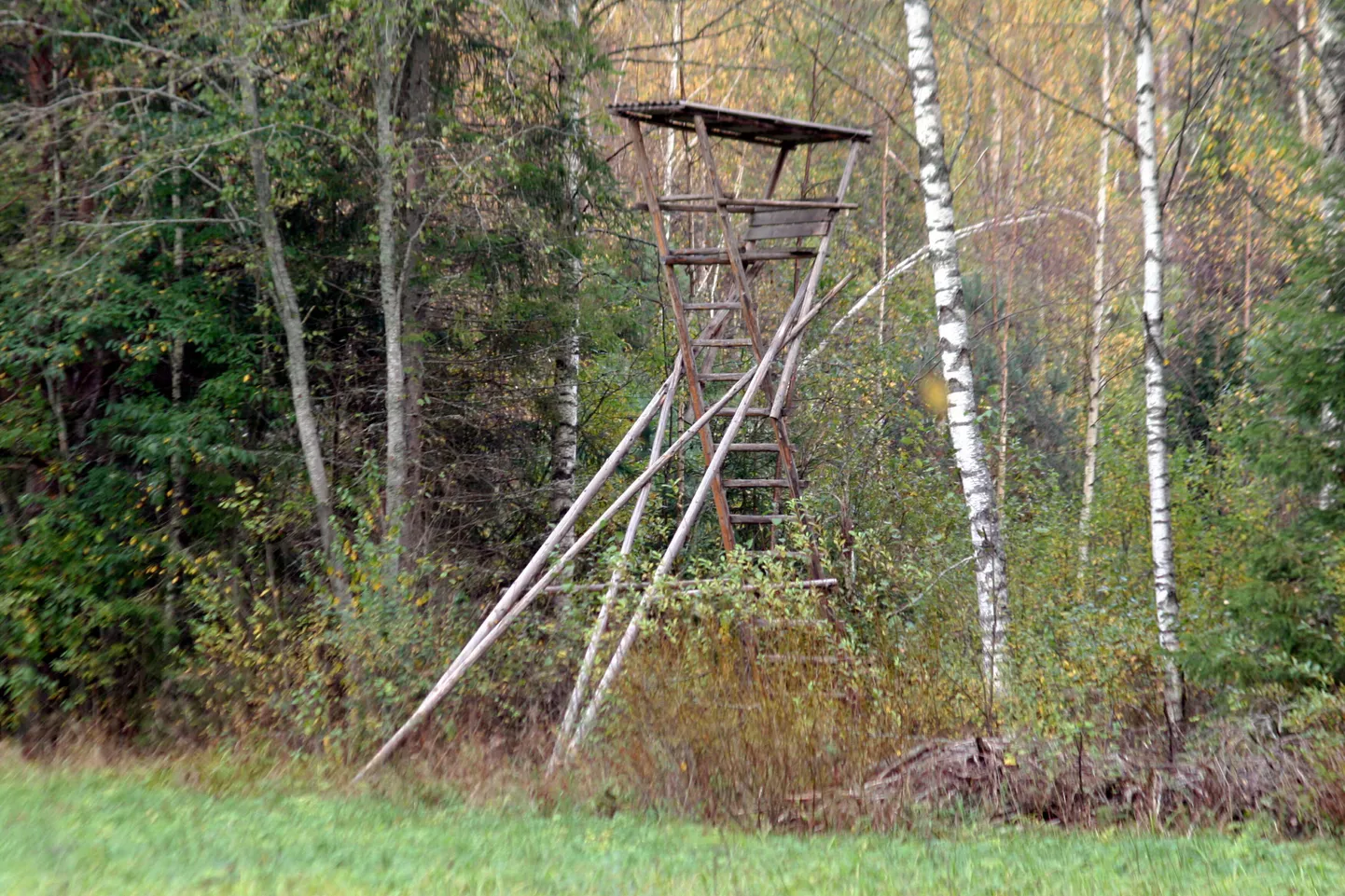 Pärnumaa kutsehariduskeskuse Tihemetsa metskonna looduse õpperada.