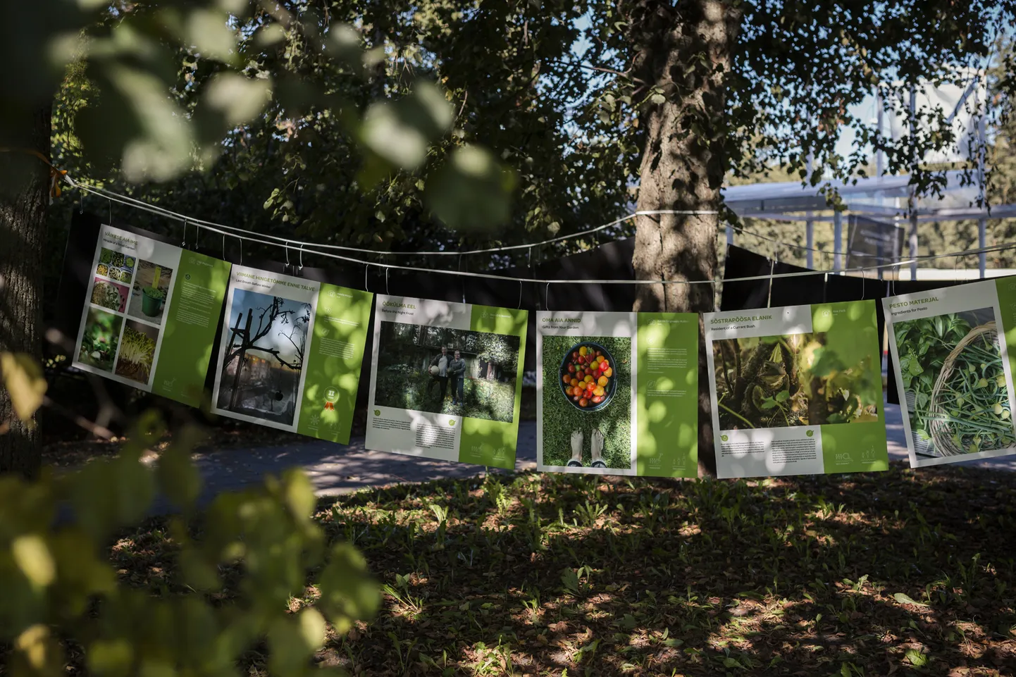 Aiandusteemalisel näitusel «Kasvades oma toiduga» on üleval jäädvustused, mis valiti välja rohkem kui tuhande rahvusvahelisele fotokonkursile saadetud pildi seast.