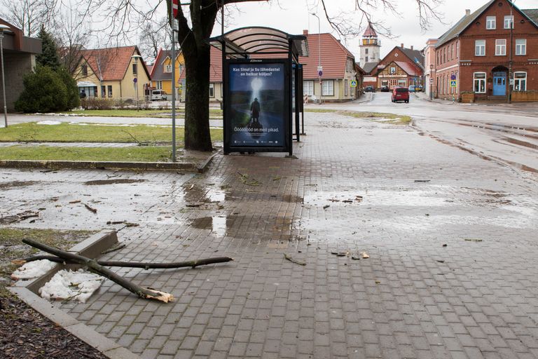 Tuuline ilm Viljandis. Foto: Marko Saarm/Sakala