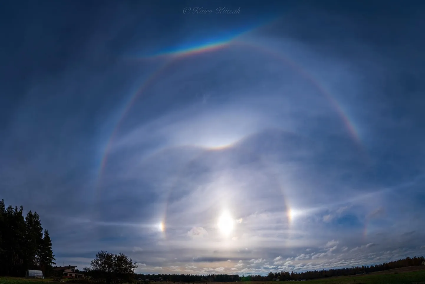 Multihalo, mis on hoopis haruldasemad kui teised.