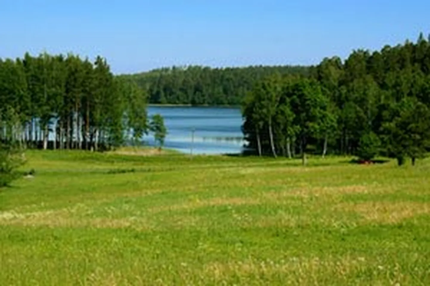 Raksta foto