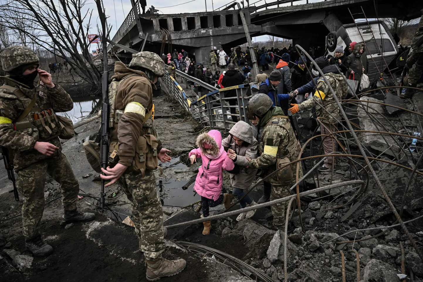 Фото статьи