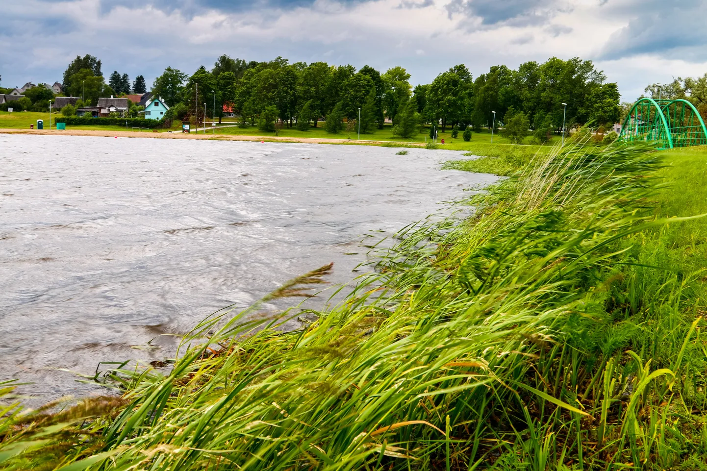 Tuuline ilm Valgas Pedeli paisjärve ääres.