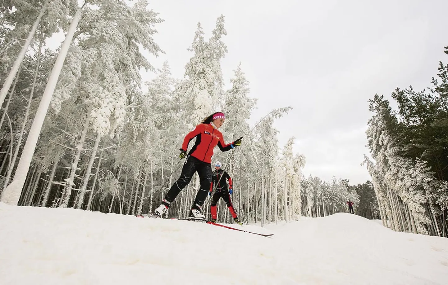 Pühapäeval oli Jõulumäel rada suusatajaid täis. Lumetootmine jätkub, kuni külma jagub.