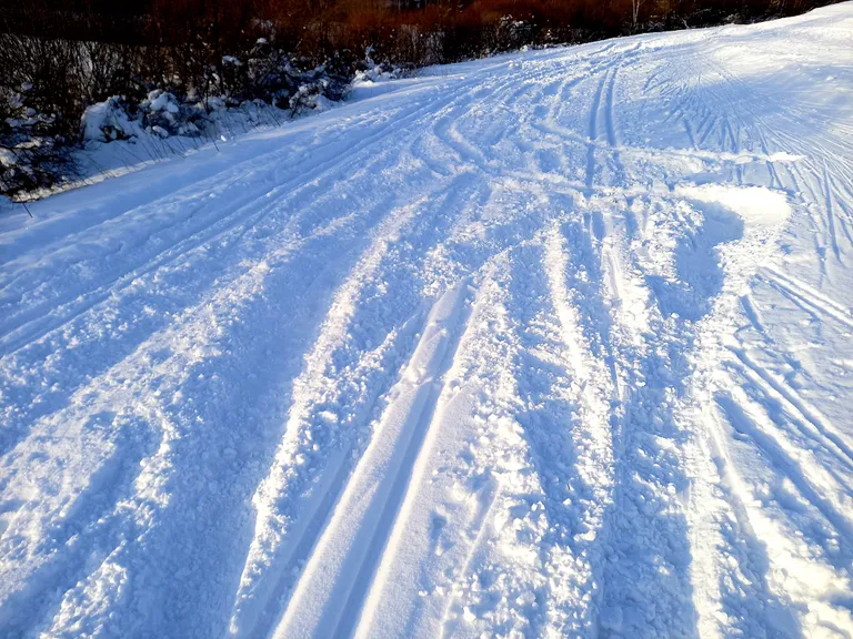 Autojäljed Tartu maratoni rajal