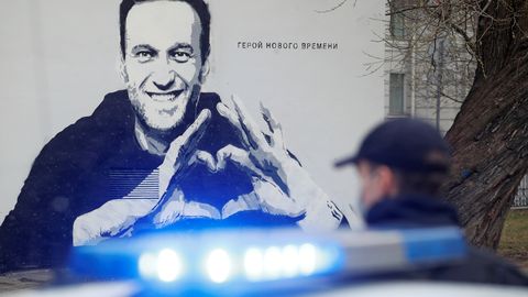 Берлин назвал ошибкой разницу дат в отчете ОЗХО о Навальном