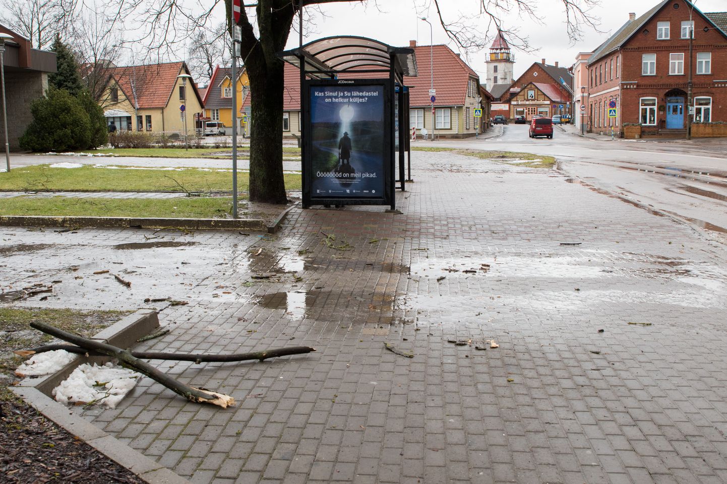 Tuuline ilm Viljandis.

MARKO SAARM/SAKALA