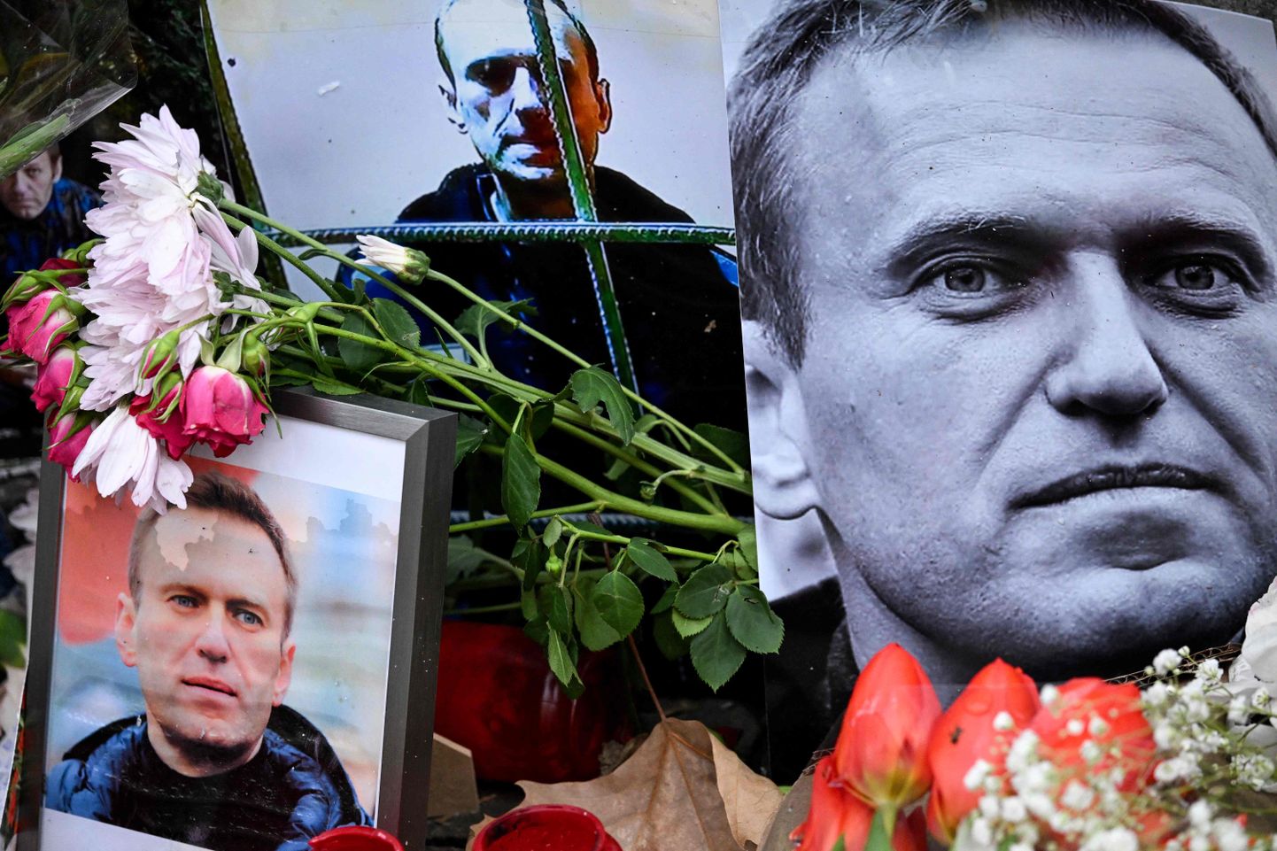 Aleksei Navalnõi mälestusesemed spontaanselt tekkinud mälestusmärgi juures Saksamaal Frankfurdis 23. veebruaril 2024. a.
