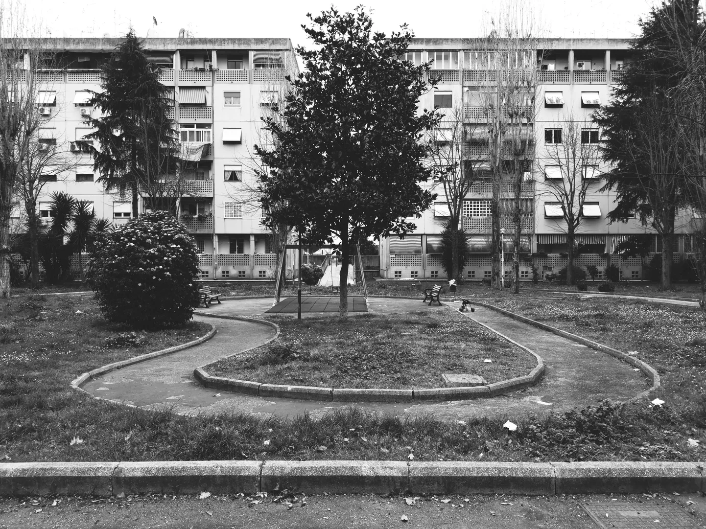 Artikli foto