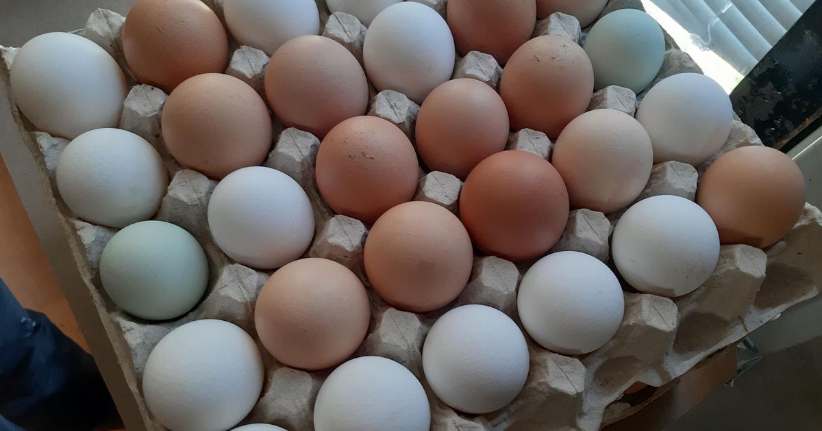 Talumune polegi vaja värvida