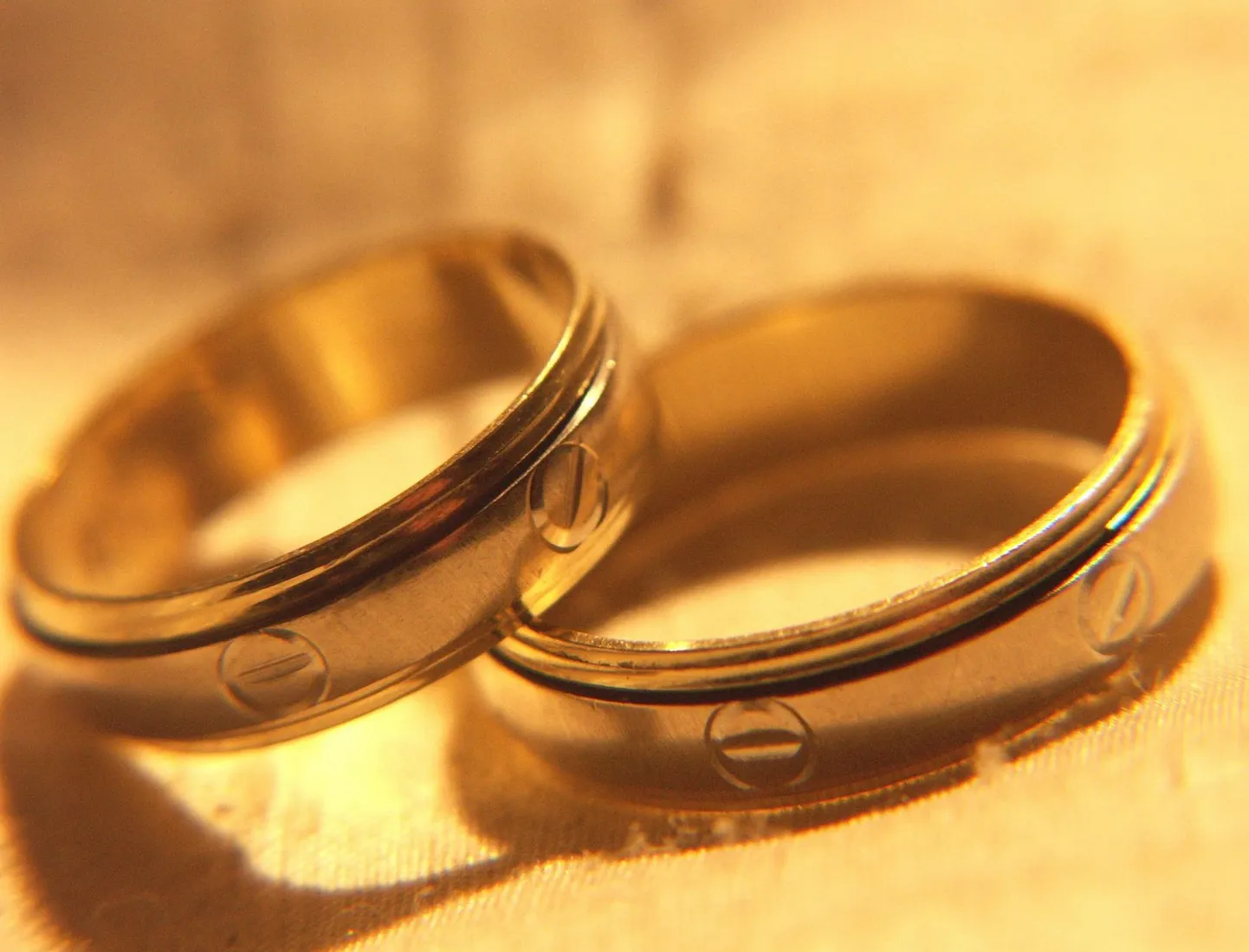Rootsi noorpoliitikud: võimaldada tuleks mitme inimesega korraga abielus olemist