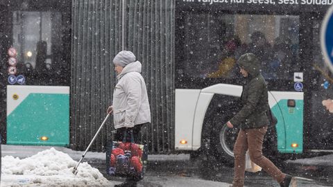 Зима не сдается: в ближайшие дни в Эстонии ожидаются снегопады