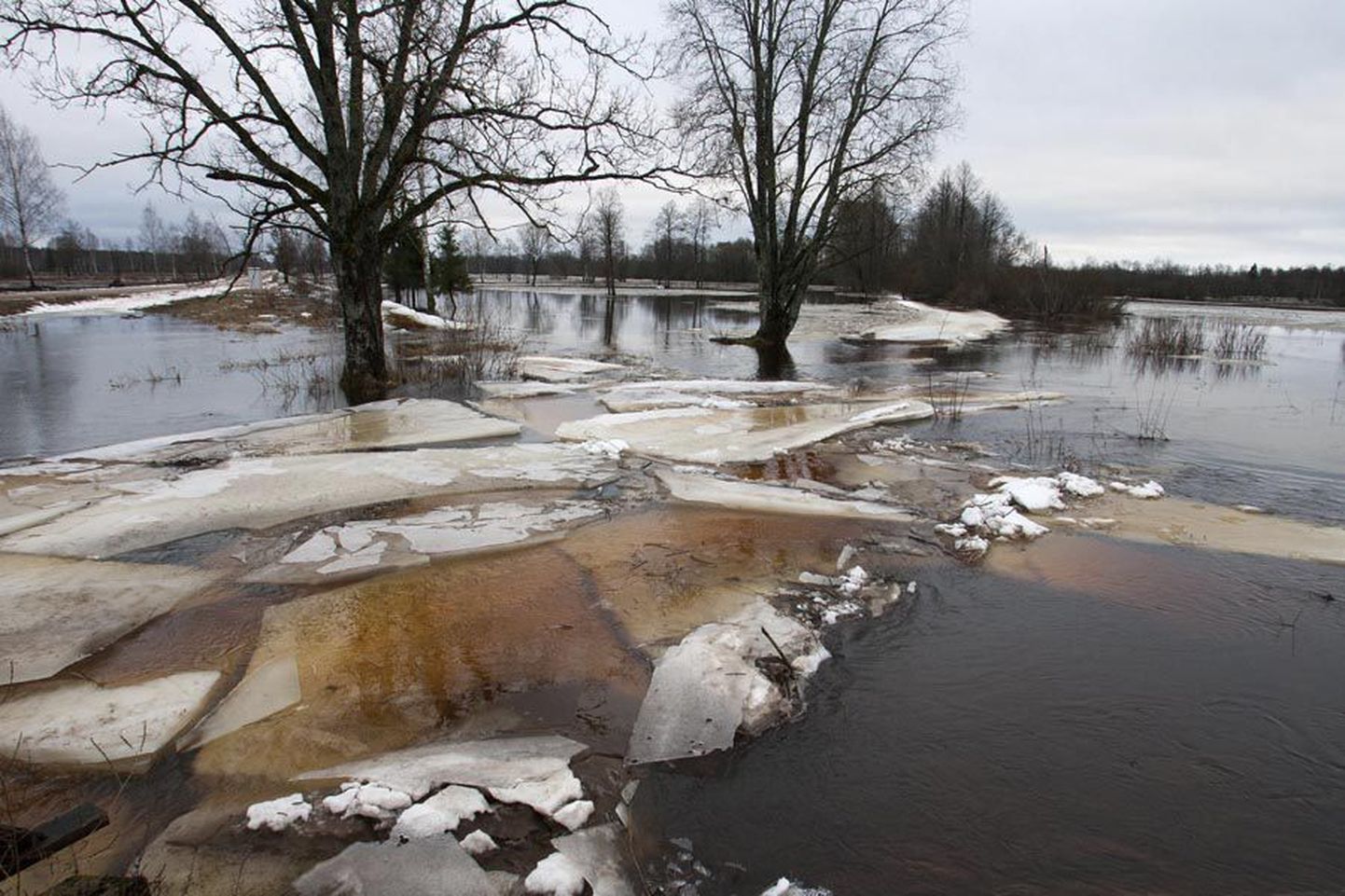 Soomaal, sealhulgas Tipu küla luhtadel  lainetas eelmisel talvel palju vett.