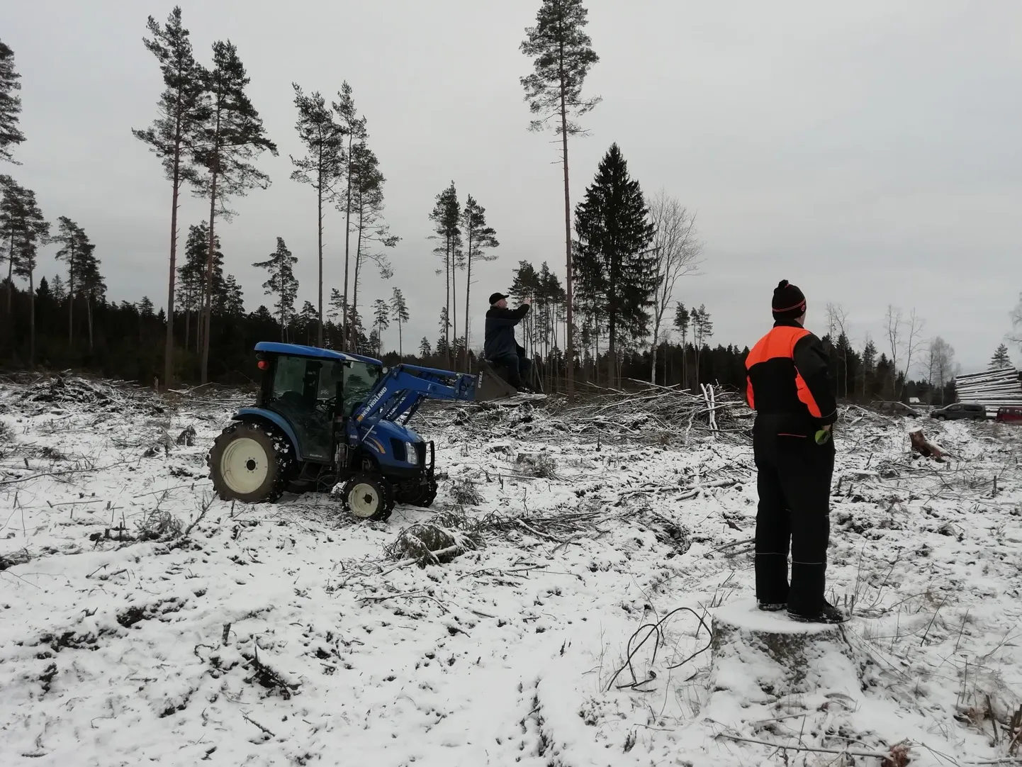 Rattabaasi talikrossil Lehtses Pärnamäel pealtvaatajatest puudust polnud. Nupukamad olid otsinud endale koha, kust sai põnevaid hetki paremini jälgida.