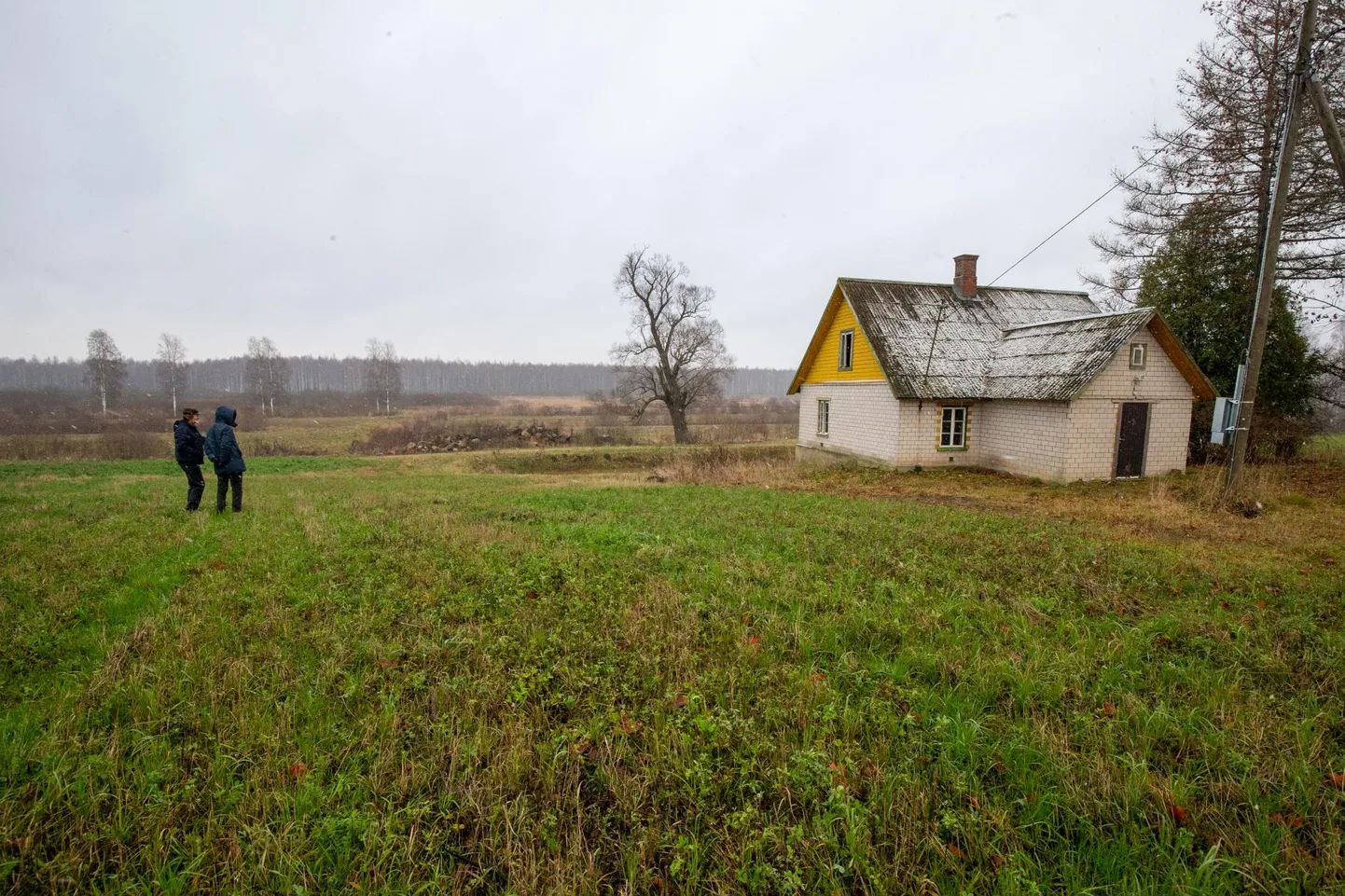 Kaitseväe Nursipalu harjutusväljaku laiendamine ei ähvarda esialgu Margus Mõttuse talu, mis on väljakuplaanist välja lõigatud.