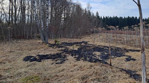 Ukrainas ārlietu ministrs: Krievija speciāli novirza dronus uz Baltijas valstīm