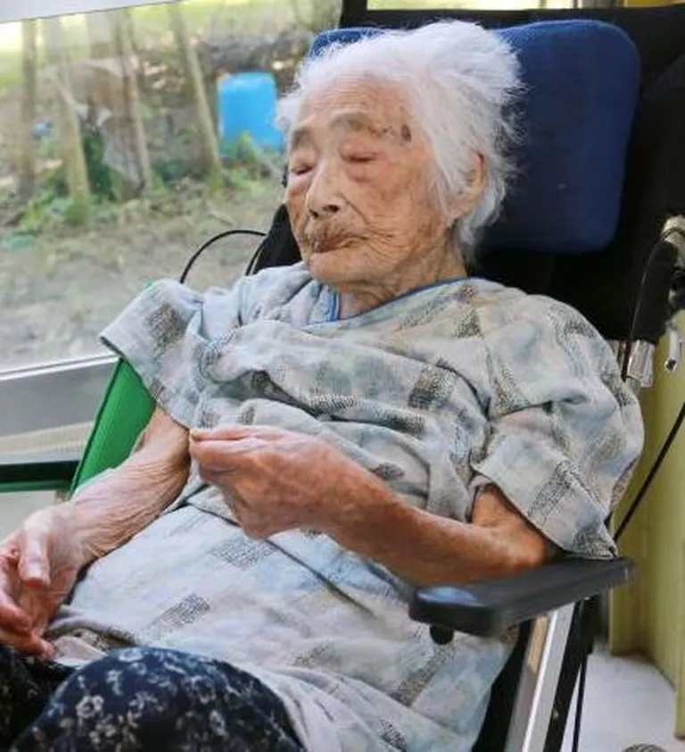 Nabi Tajima