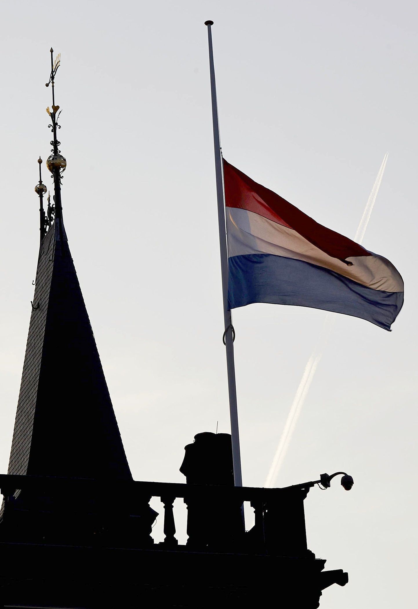 Hollandi leinalipp Malaysia Airlinesi lennul MH17 hukunute mälestuseks