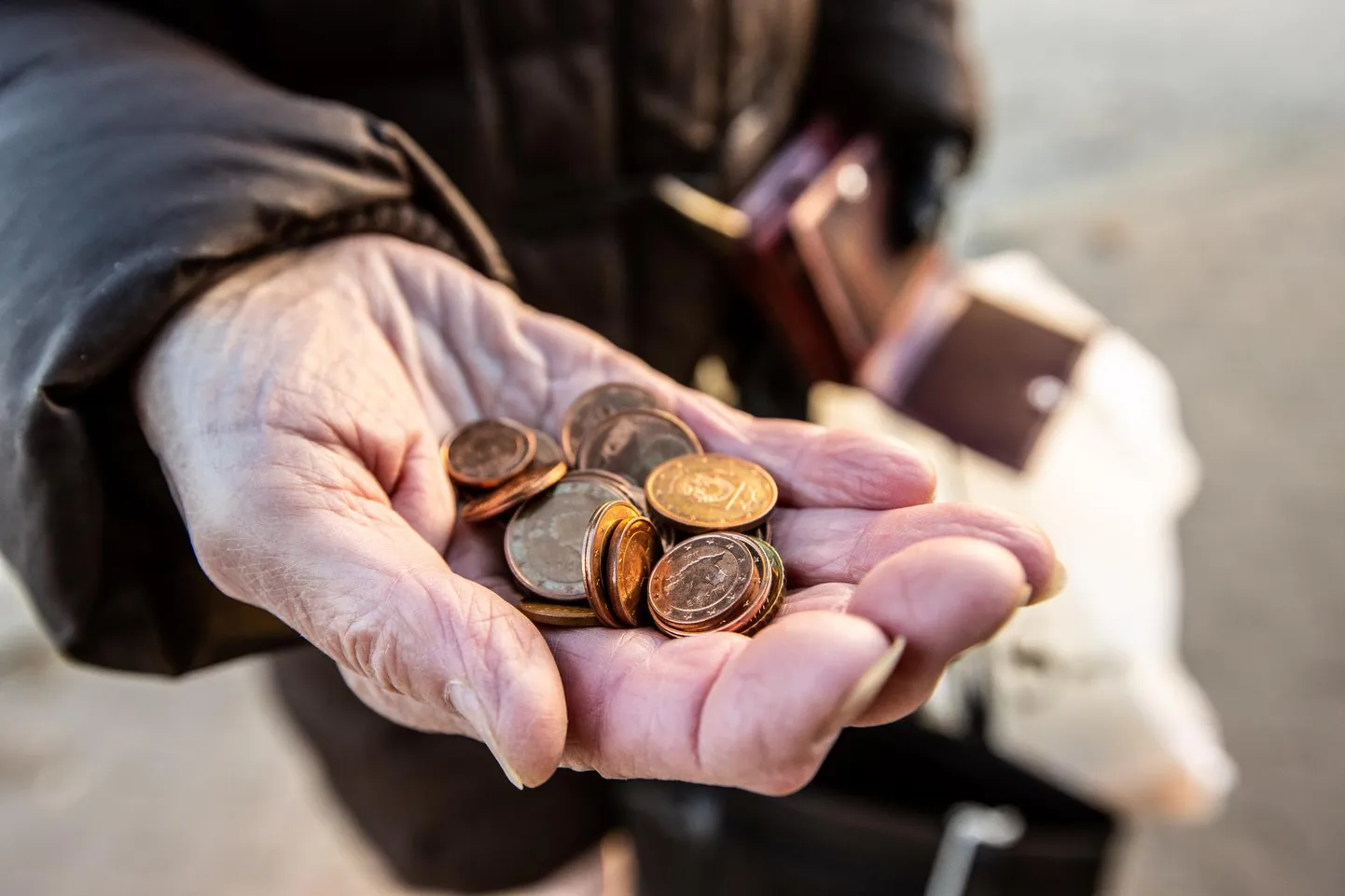 Seitse kümnest eakast üksi elavast pensionärist elab suhtelises vaesuses – Eesti reaalsus