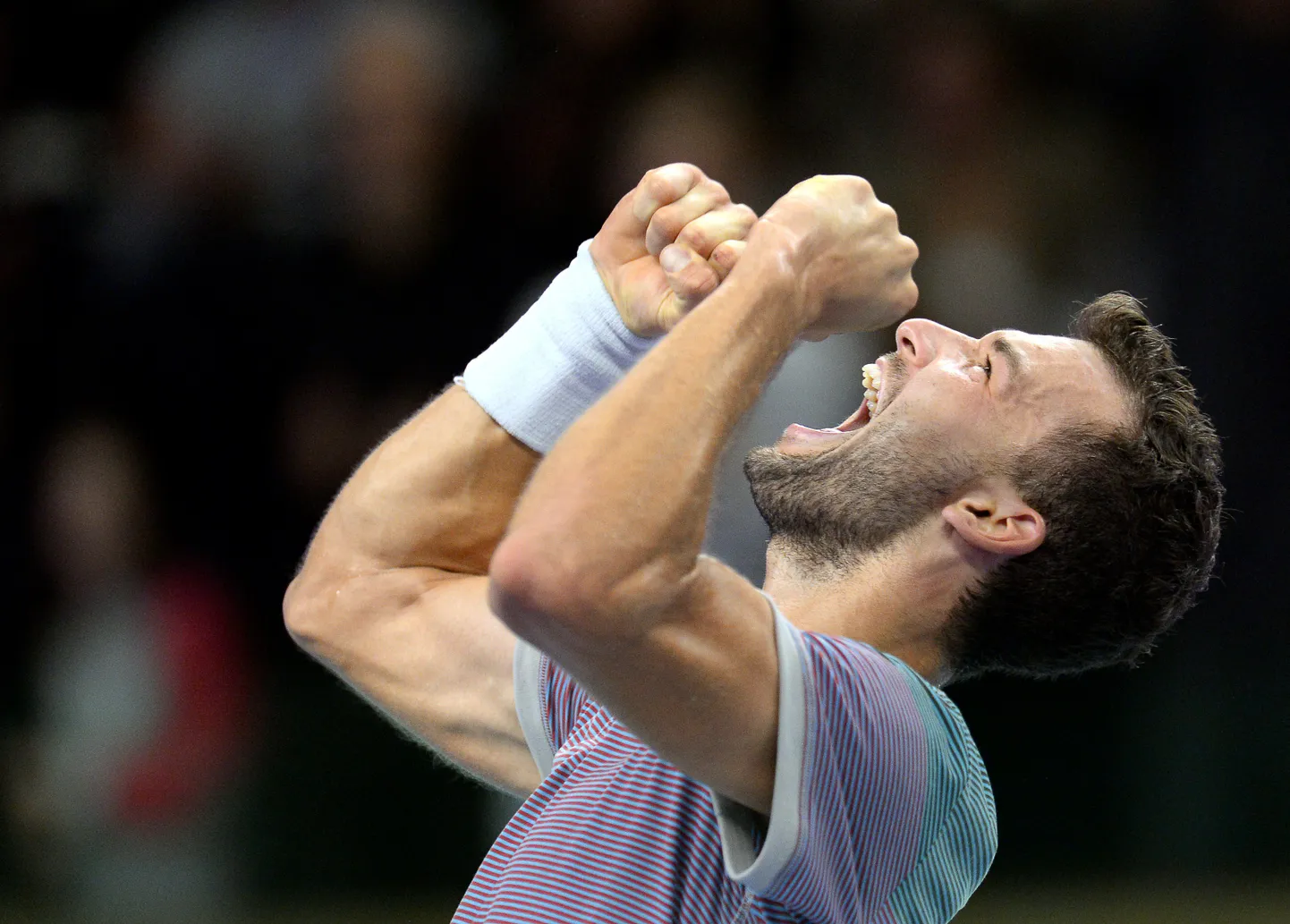 Grigor Dimitrov.