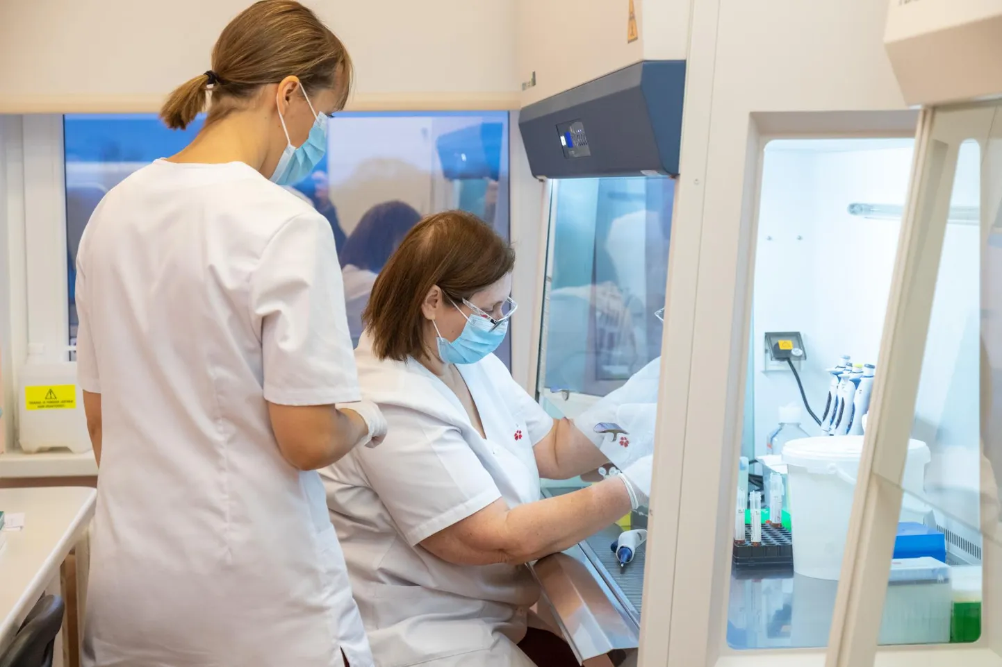 Koroonaproovide analüüsimine laboris.
