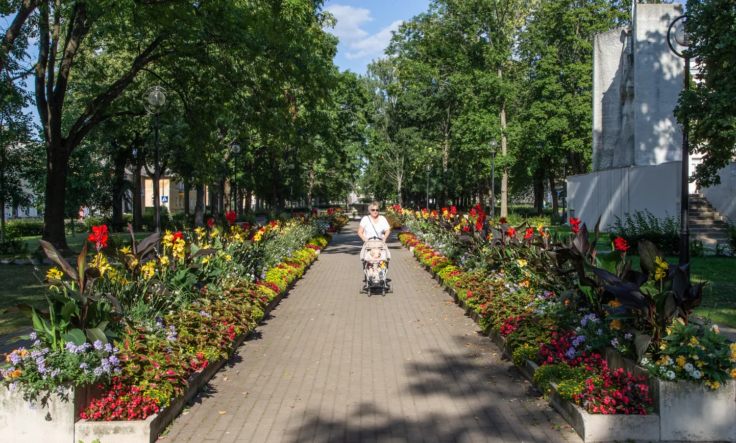 Mullu suvel rõõmustas jalutajate silma Järve linnaosas Keskalleel ilutsenud lillemeri.