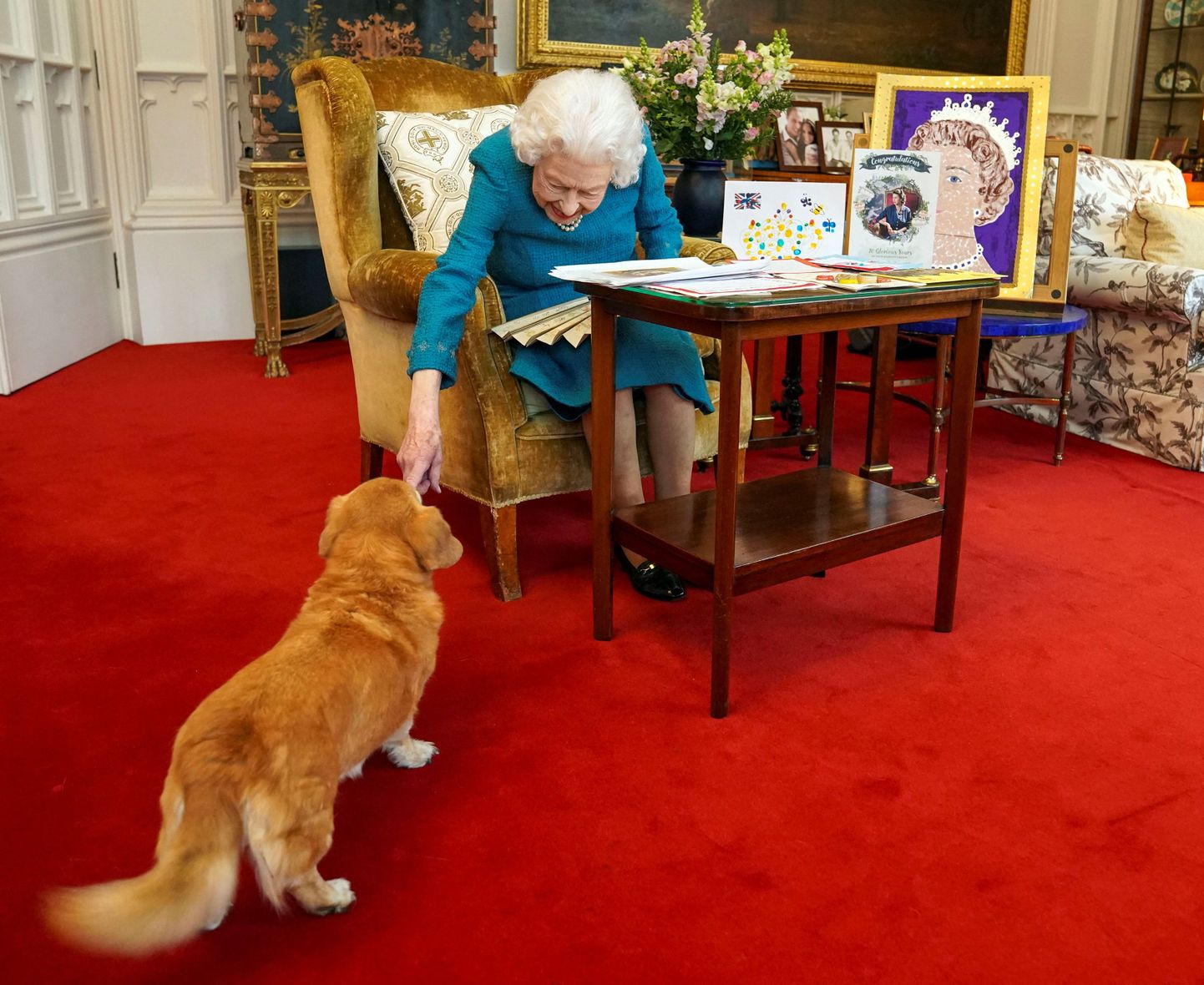 Королева Елизавета с одной из своих собак.