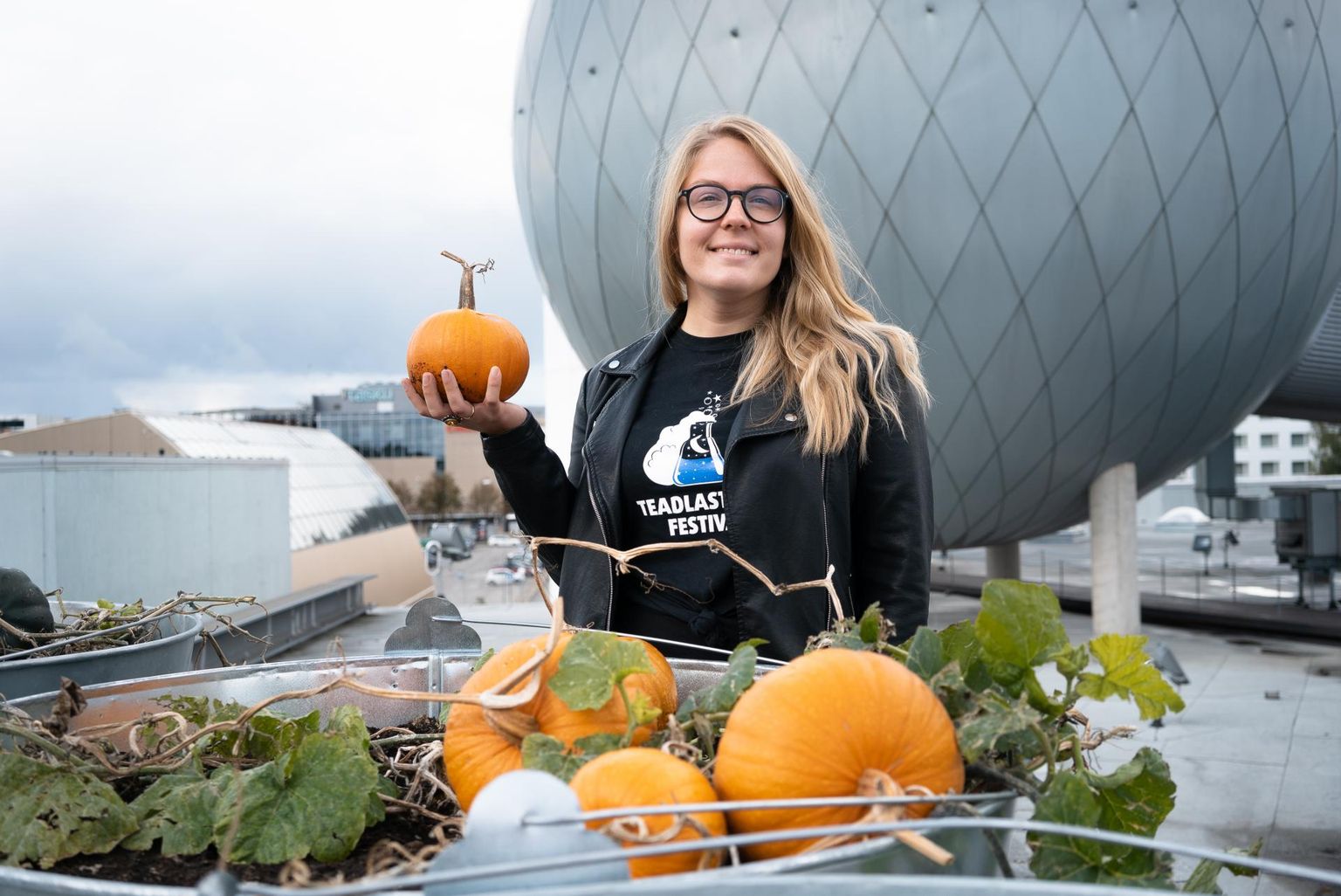Mai lõpus istutati Ahhaa katusele Teadlaste Ööd silmas pidades kolm kõrvitsataime. Teadusfestivali peakorraldaja Anna-Liisa Ingveri sõnul loodeti küll kogukamat saaki, ent kõrvitsapirukad 27. septembril siiski küpsetamata ei jää.