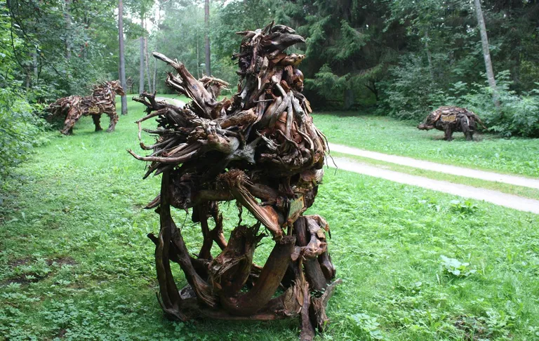 Kunstnikud Hando Kuntro ja Piret Smagar toovad Peetli rabast rabajuurikaid ja looduslikke materjale. Juurikad valitakse nende looduslikku ilmet ja vormi jälgides. Pildil kukk.