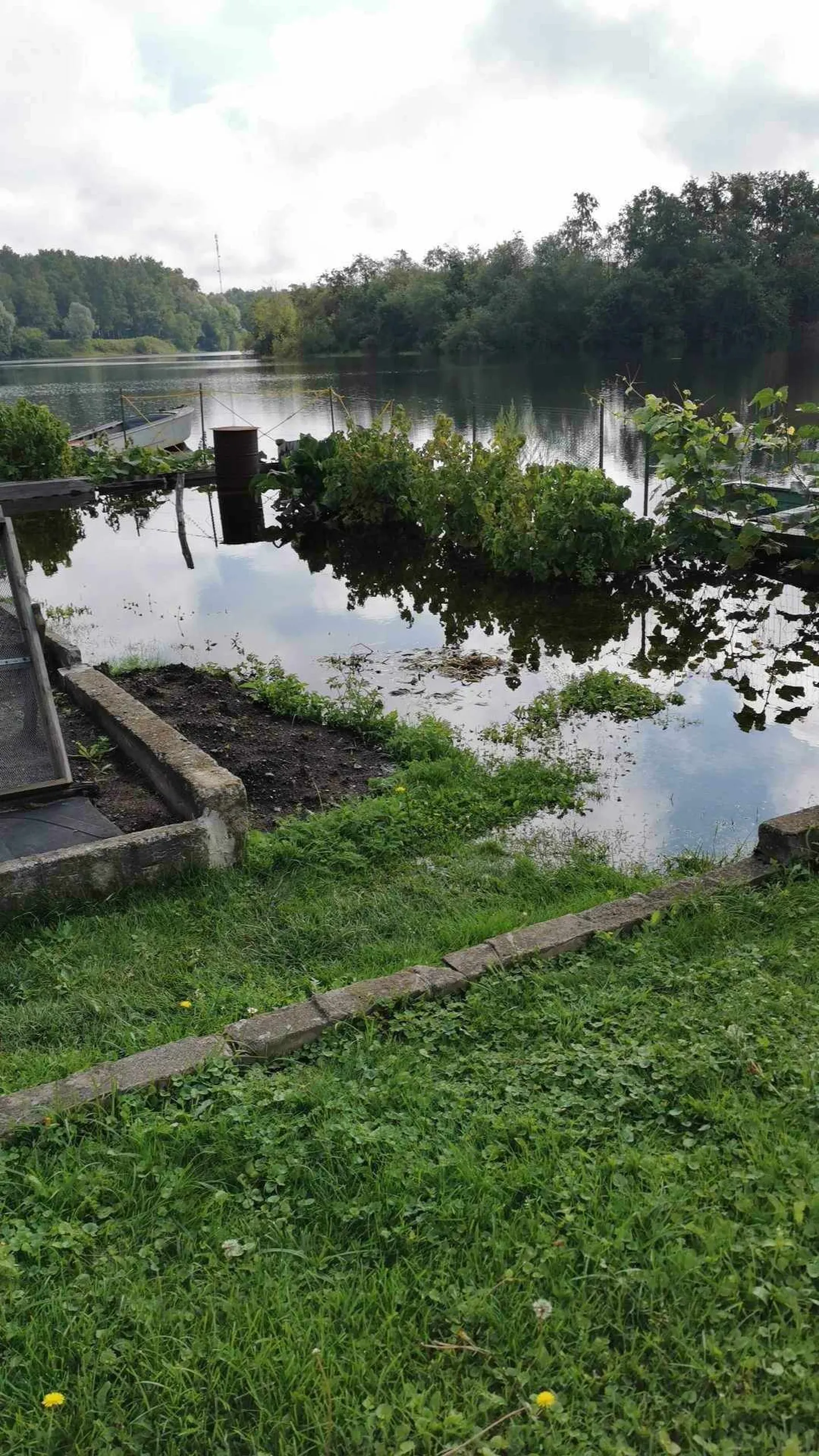 Вода из огородов уже уходит, но урожай у многих подпорчен.