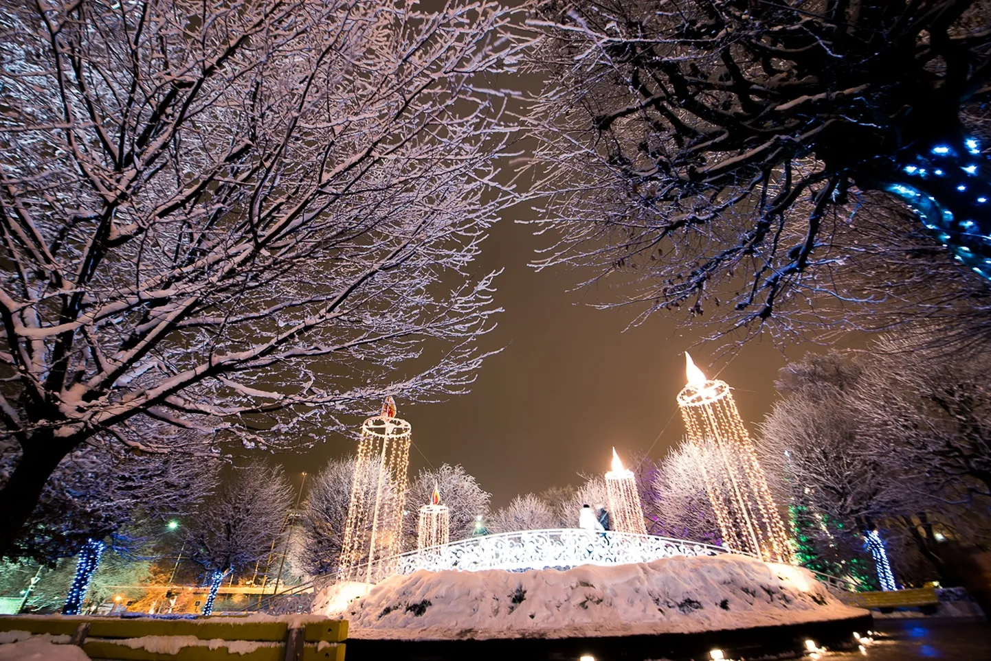 Raksta foto