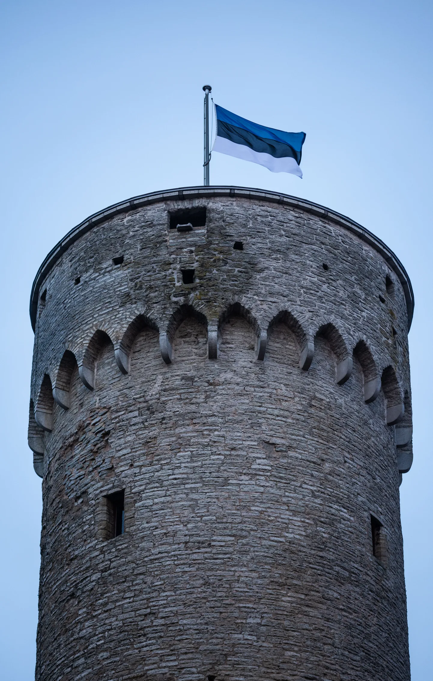 Riigilipu pidulik heiskamine Kuberneri aias 24. veebruaril.